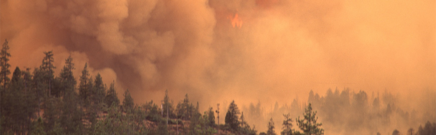 Air Quality Conditions During Wildfires