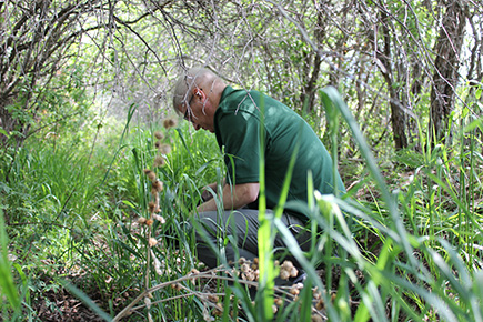 Spill Hotline: Kevin Okleberry takes soil samples in American Fork
