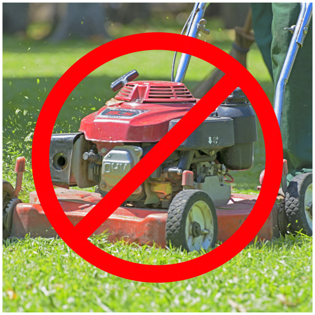 Lawnmowers are not eligible for the Charge Your Yard for Businesses incentive